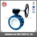 Double flange butterfly valve east well